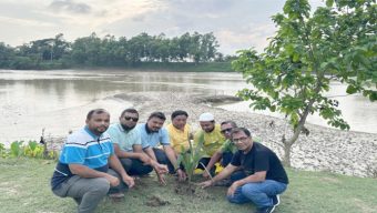 হবিগঞ্জে নদী পাড়ে দুইশতাধিক তাল গাছের চারা রোপন