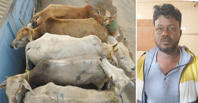 সিলেটে ভা র তী য় পাঁচ বলদ জ ব্দ