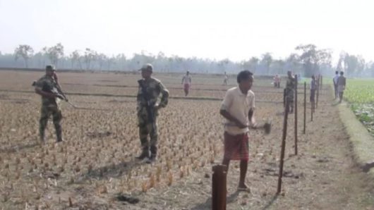 সীমান্তের শূন্যরেখায় বেড়া দিয়েছে বি এস এফ