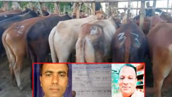 চোরাই গরুর নিরাপদ স্থান গোয়াইনঘাটের তোয়াকুল বাজার : চাচা-ভাতিজার বাণিজ্য