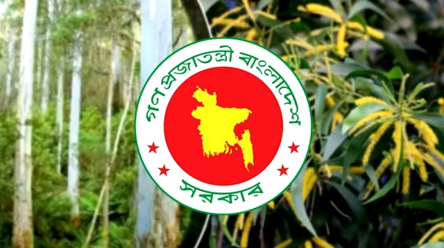 দেশে ইউক্যালিপটাস ও আকাশমনি গাছের চারা রোপণ, উত্তোলন ও বিক্রয় নিষিদ্ধ