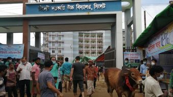 সিলেটে কোরবানির হাট বাসাতে ‘ডেভিল-বিএনপি’ আঁতাত! তারেক রহমানের নিষেধ অমান্য