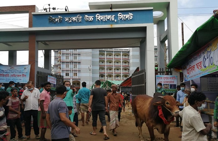 সিলেটে কোরবানির হাট বাসাতে ‘ডেভিল-বিএনপি’ আঁতাত! তারেক রহমানের নিষেধ অমান্য