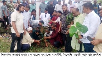 ডা: জুবাইদা রহমানের জন্মদিন উপলক্ষে সিলেট জেলা স্বেচ্ছাসেবক দলের দোয়া ও বৃক্ষরোপণ