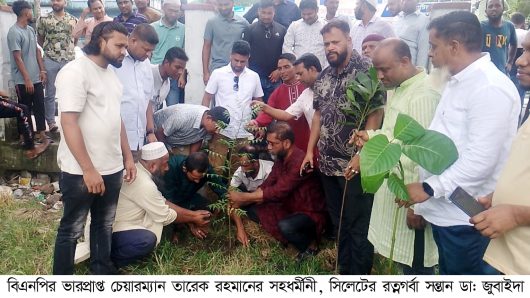 ডা: জুবাইদা রহমানের জন্মদিন উপলক্ষে সিলেট জেলা স্বেচ্ছাসেবক দলের দোয়া ও বৃক্ষরোপণ