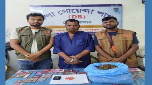 মৌলভীবাজারে ডি বি র অ ভি যা নে দুই মা দ ক কারবারি গ্রে ফ তা র
