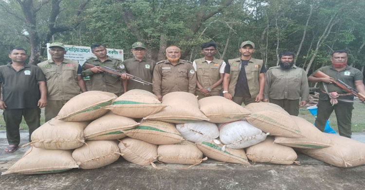 সুন্দরবনে ১৮ বস্তা ভর্তি শুটকি উদ্ধার