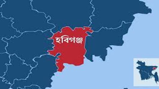হবিগঞ্জে ব জ্র পা তে খেলারত শিশুর করুণ মৃ ত্যু