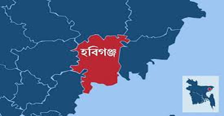 হবিগঞ্জে ব জ্র পা তে খেলারত শিশুর করুণ মৃ ত্যু
