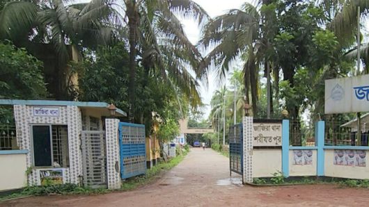 জাজিরায় পারিবারিক কলহে স্ত্রীকে কু পি য়ে হ ত্যা, স্বামী আ ট ক