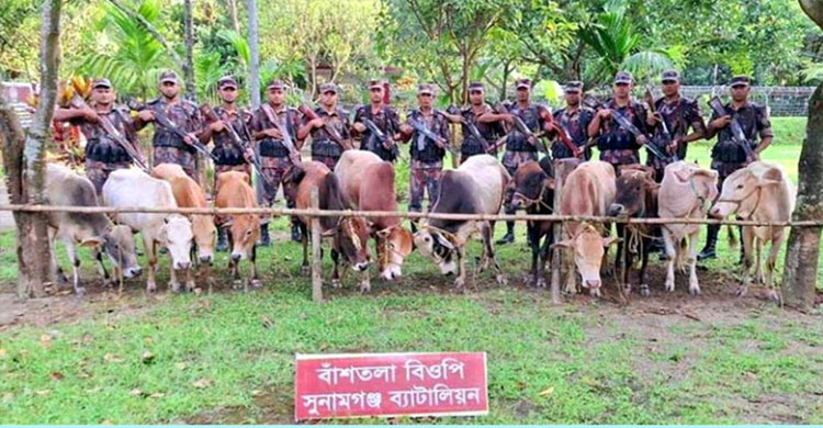 সুনামগঞ্জ সীমান্তে অভিযান, যা যা আ ট ক করলো বি জি বি
