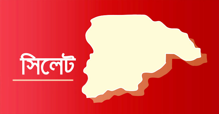 কোম্পানীগঞ্জে পূর্ব বিরোধের জেরে দুপক্ষের সং ঘ র্ষে আহত ১২