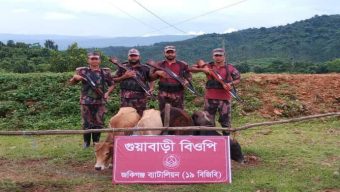 জৈন্তাপুরে বিজিবির বিশেষ অভিযানে ভারতীয় ৪টি বাছুর গরু আ ট ক