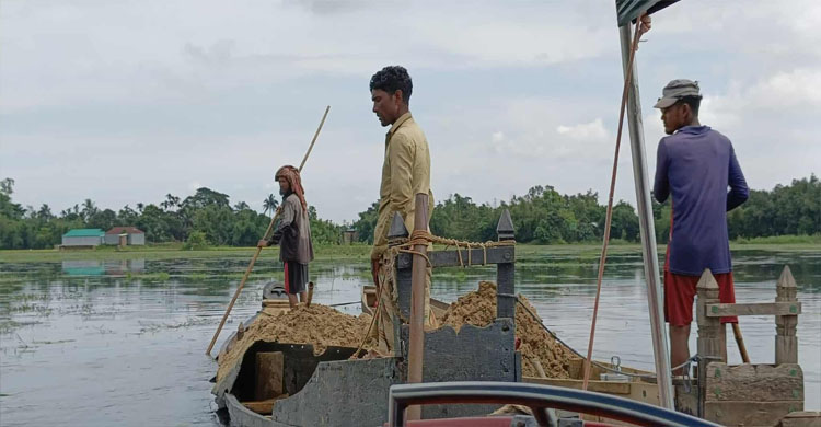 তাহিরপুরে বালু উত্তোলনের দায়ে ৪ জনের কারাদ*ণ্ড