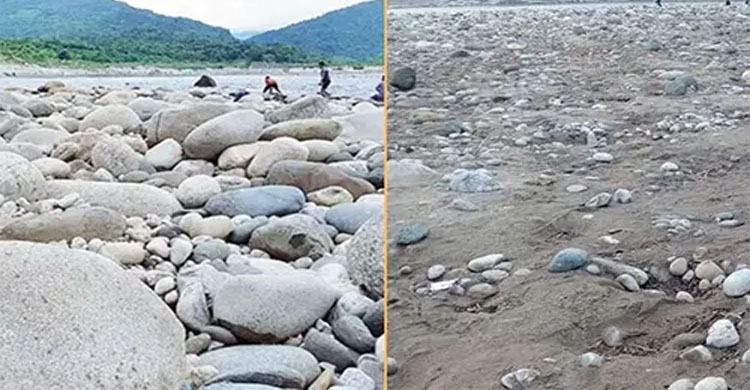 সাদাপাথর লুট, আরেকজন গ্রে ফ তা র