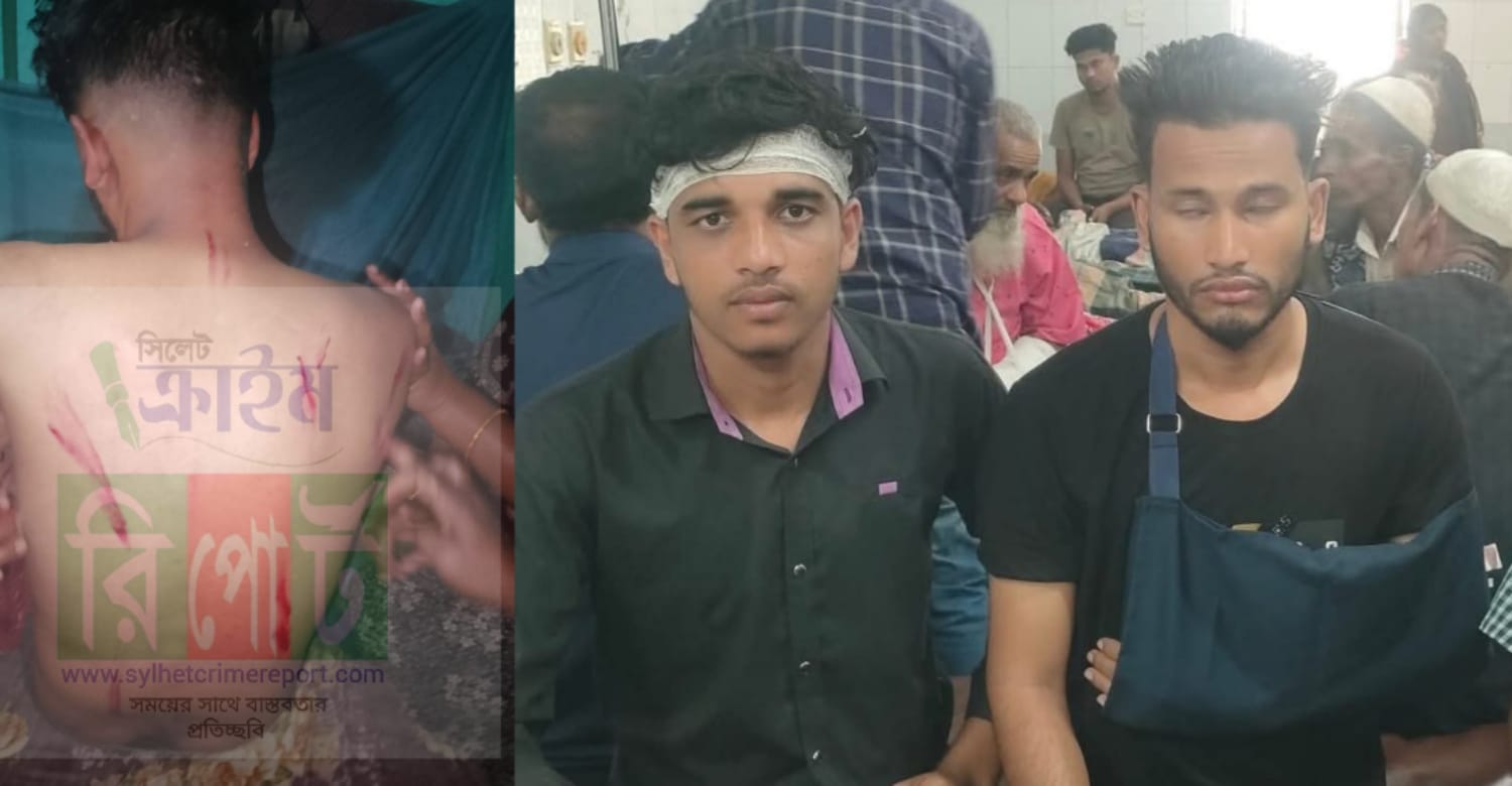 সালুটিকর ডিগ্রি কলেজ ছাত্রদল সভাপতির ওপর হামলা, এলাকায় উত্তেজনা