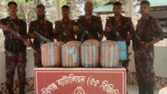 বিজিবির পৃথক অভিযান ৫৫ কেজি ভা র তী য় গাঁ*জা ও ৮টি চোরাই গরু জ*ব্দ