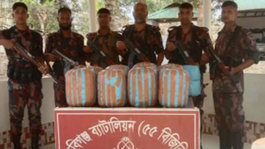 বিজিবির পৃথক অভিযান ৫৫ কেজি ভা র তী য় গাঁ*জা ও ৮টি চোরাই গরু জ*ব্দ