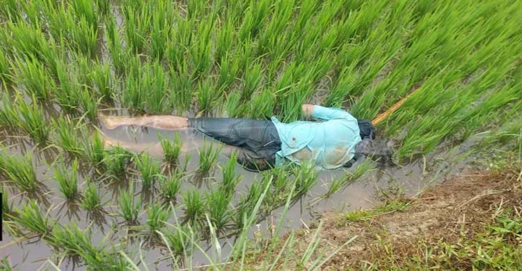 ধানক্ষেত থেকে যুবকের লা শ উদ্ধার, এলাকায় চাঞ্চল্য