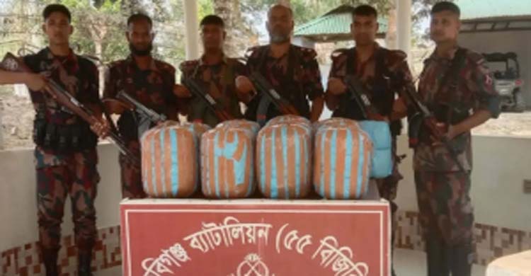 বিজিবির পৃথক অভিযান ৫৫ কেজি ভা র তী য় গাঁ*জা ও ৮টি চোরাই গরু জ*ব্দ