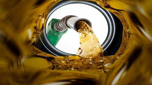 ৬২ জেলায় ২৯৩ অভিযান, ৭৮ মামলা: জ্বালানি খাতে নজরদারি জোরদার