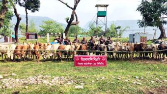 সিলেটে কোটি টাকার ভারতীয় পণ্য জ*ব্দ