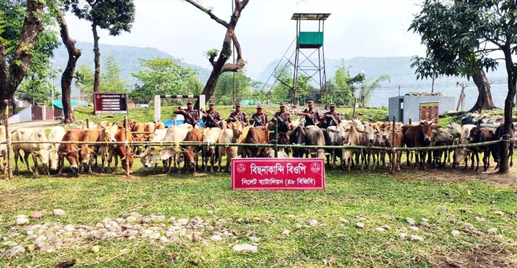 সিলেটে কোটি টাকার ভারতীয় পণ্য জ*ব্দ