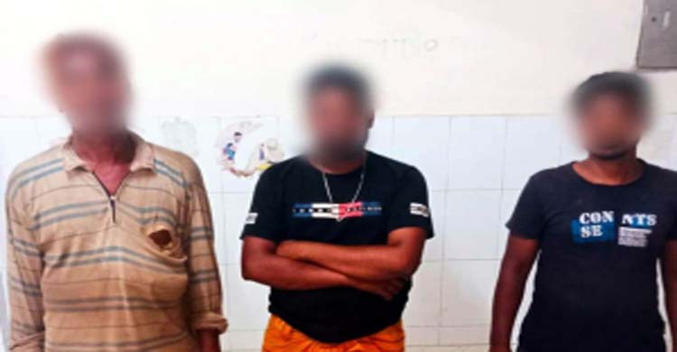 সিলেটে ভা*রতীয় মহিষসহ আ*টক ৩