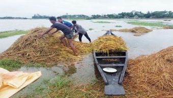 সিলেট বিভাগের ২ নদীর পানি বিপৎসীমার ওপরে, নিম্নাঞ্চল প্লাবিত
