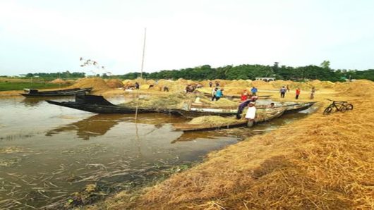 সরকারের সহায়তা কৃষক তালিকায় নানা দুর্নীতি ও অনিয়মের অভিযোগ
