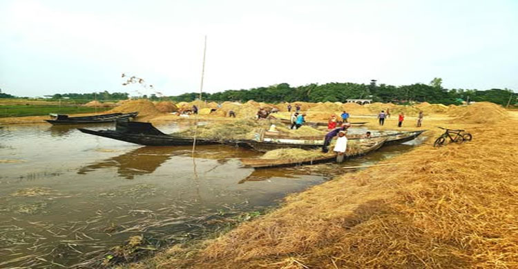 সরকারের সহায়তা কৃষক তালিকায় নানা দুর্নীতি ও অনিয়মের অভিযোগ