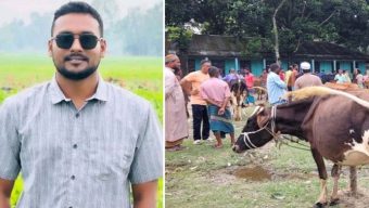 কলেজের তালা ভেঙে কুরবানির পশুর হাট বসালেন ছাত্রদল নেতা