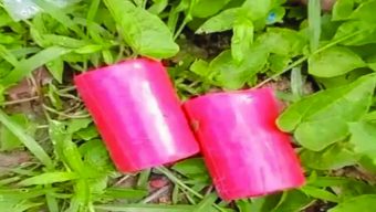 বিএনপি কার্যালয়ের সামনে থেকে ক ক টে ল উদ্ধার