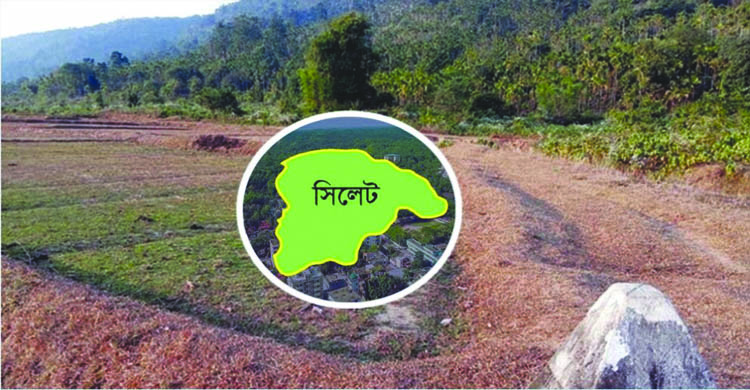 সিলেট সীমান্তে পাওয়া গেল কোটি টাকার পণ্য