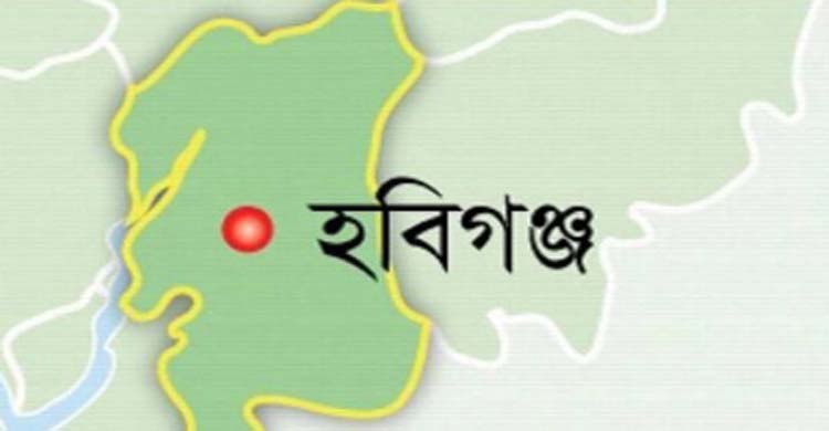 হবিগঞ্জে নারীর মুখ এ’সি’ডে ঝ’ল’সে দিলেন সাবেক স্বামী