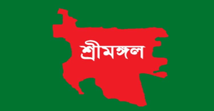 শ্রীমঙ্গলে বাস-পিকআপ সং’ঘর্ষে যুবক নি’হত