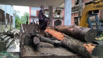 স্কুলের গাছ কেটে বাড়িতে নিলেন প্রধান শিক্ষক!