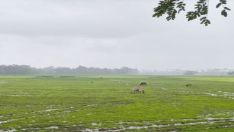 গোয়াইনঘাটে জমি দখল, হামলা ও প্রাণনাশের হুমকির অভিযোগে ৭ জনের বিরুদ্ধে আদালতে মামলা
