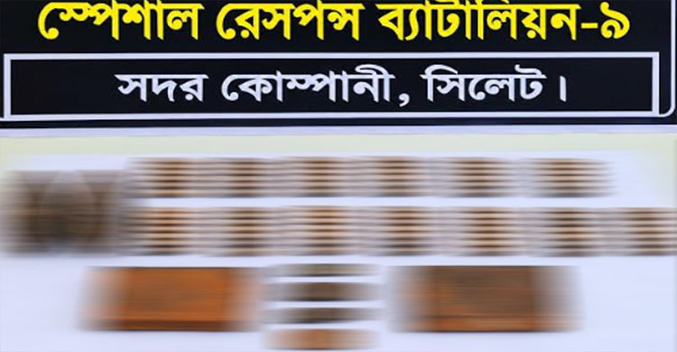 সিলেটে নদীর পাড়ে মিলল পুলিশের লুট হওয়া গু লি-গ্রে ণে ড