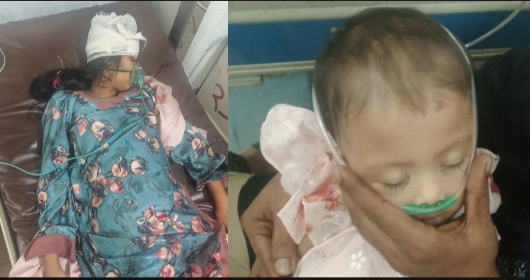 সিলেট-কোম্পানীগঞ্জ মহাসড়কে ঘাতক বাসের ধাক্কায় ৯ মাসের শিশুসহ মা নিহত, বাস আটক