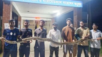 সিলেটে রাস্তা পারের চেষ্টায় ছিল ১২ ফুট লম্বা অজগর, অবশেষে অবমুক্ত