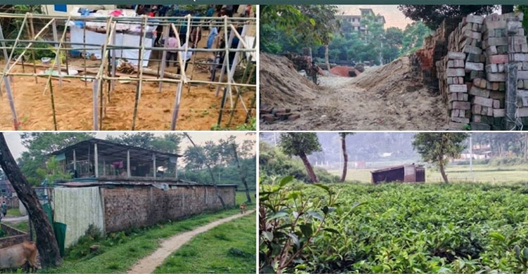 সিলেটে প্রভাবশালীদের পেটে চা বাগানের দেড় হাজার কোটি টাকার ভূমি